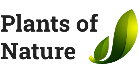 Plants of Nature